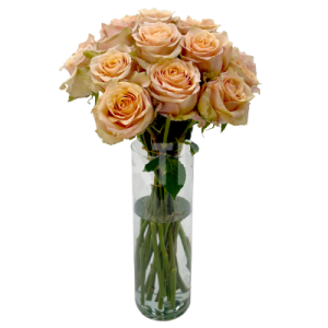 caramel-macchiato-roses-3 caramel macchiato roses