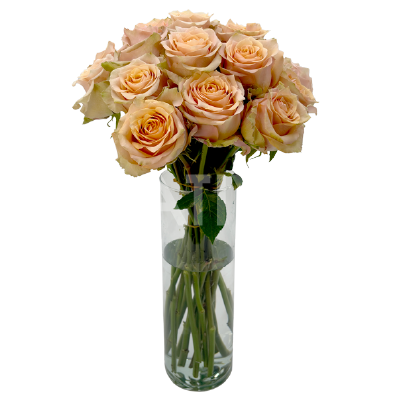 caramel macchiato roses